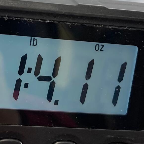 DOCKERS Capri Size 16 Mid Rise Curvy Fit Calf Length - Picture 11 of 12